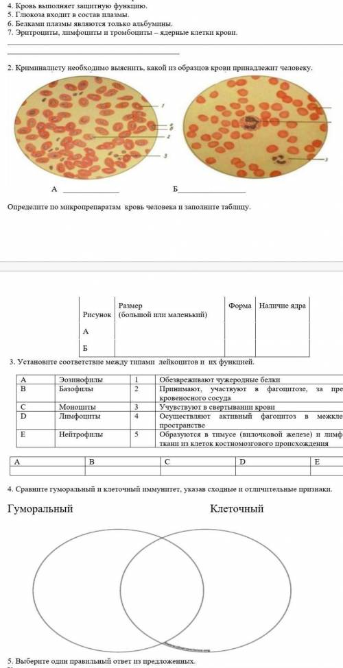 со всеми заданиямиии​