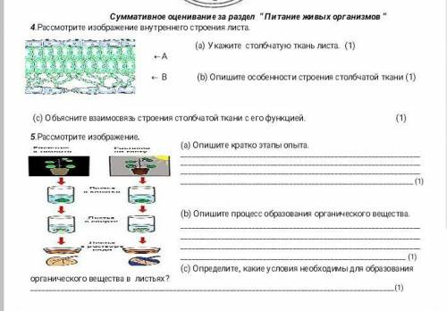 Сор по биологии за 2 четверть 4 задание​