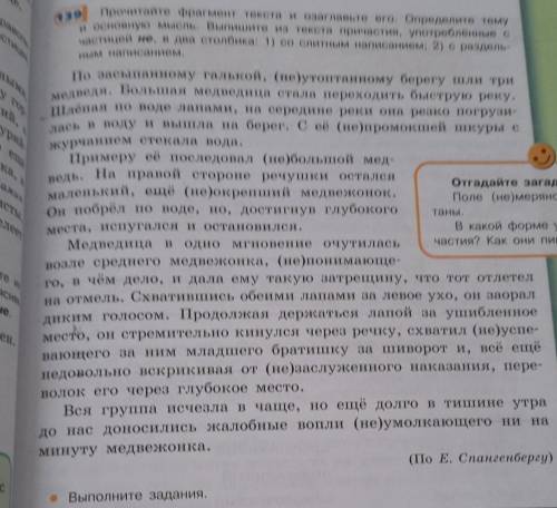 Мини сочинение 5 предложений минимум на тему Наблюдая за животными, лучше понимаешь себе включите