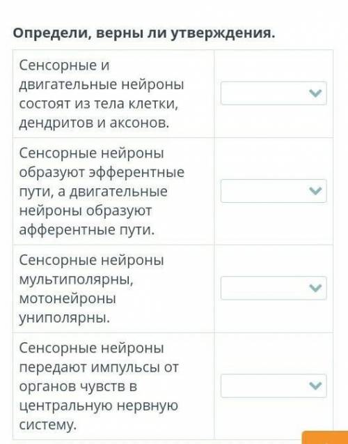 Определи, верны ли утверждения. Сенсорные и двигательные нейроны состоят из тела клетки, дендритов и