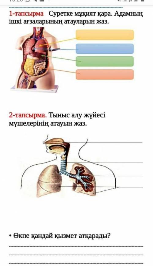 Жаратылыстану 3 өтінемін 2 сағат өтініш