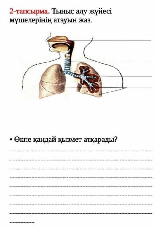 Жаратылыстану өтініш кімге 3000 лайк керек мынаны істеп берсінші​