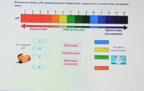 Используя шкалу рн универсального индикатора, проставьте сота средс.посръсторотpHКислотнаяНайтральна