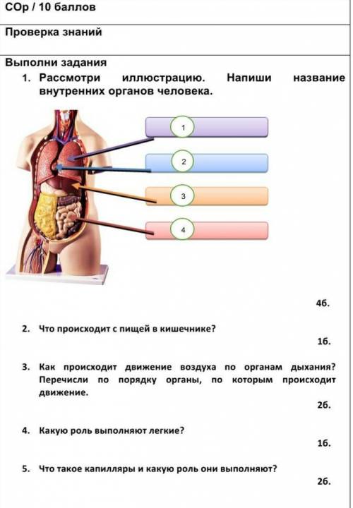 это сор по естествознанию мин осталось