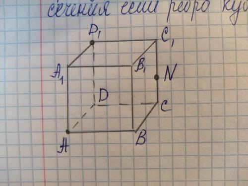 решить задачу по геометрии 10 класс. Построить сечения куба плоскостью проходящей через точки A,D1,N