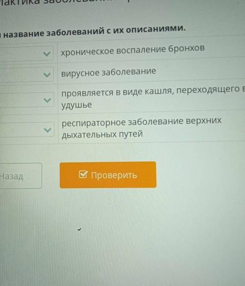 Соотнеси название заболевания с их описаниями