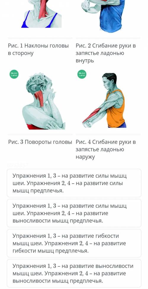 Нетрадиционные виды гимнастики. по какому критерию могут быть объединены предложенные упражнения​