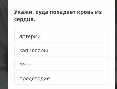 строение функций сердца и кровеносных сосудов к кольчатых червей (дождевой червь),моллюсков , членис