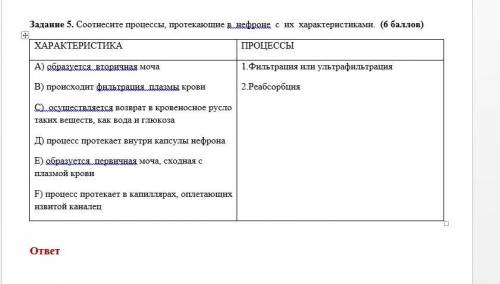 Соотнесите процессы, протекающие в нефроне с их характеристиками.