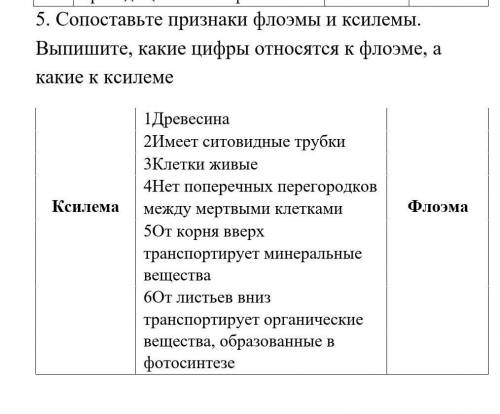 Сопоставьте признаки флоэмы и ксилемы. Выпишите, какие цифры относятся к флоэме, а какие к ксилеме