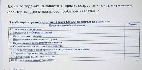 Прочтите задание. Выпишите в порядке возрастания цифры признаков, характерных для флоэмы без пробело