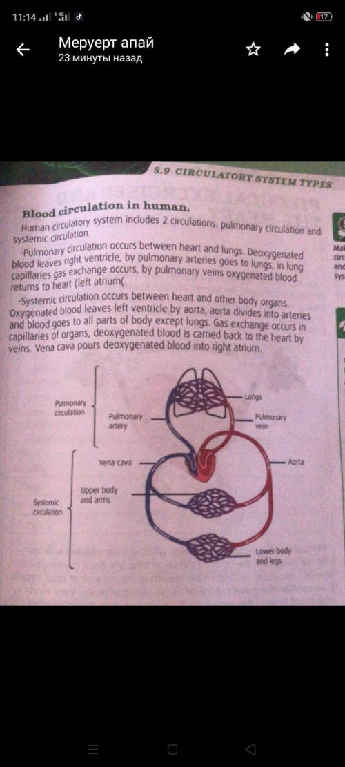 Literacy 1. Blood is entering arm artery. How many capillary beds (networks( will this blood pass un