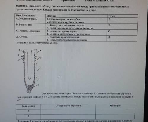 Сор по биологии, ) (1 и 2 задание)​