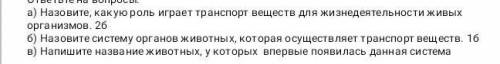 без взяких приколов, и я твой учитель, учи уроки ​