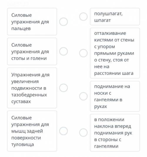 Упражнения на разные группы мышц Установи соответствие между найменованиями упражнений и примерами