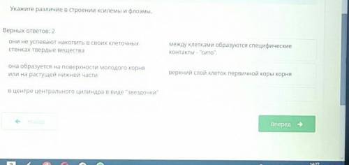 укажи различие в строении ксилемы и флоэиы онлайн мектеп​