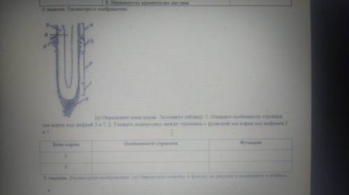 с СОРом 7 класс биология Даю Задания 1. Заполните таблицу. .Установите соответствие между признаком