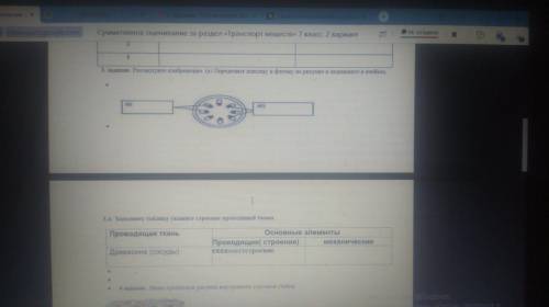 с СОРом 7 класс биология Даю Задания 1. Заполните таблицу. .Установите соответствие между признаком