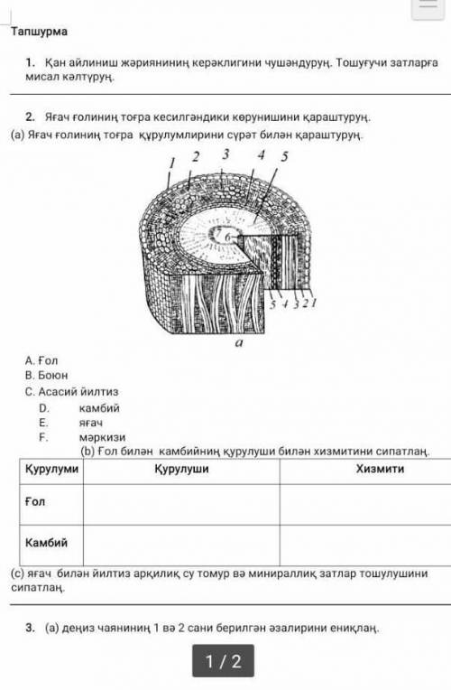 помагите пр сору по Биологи Тут написано на уйгурском но вы постарайтесь понять