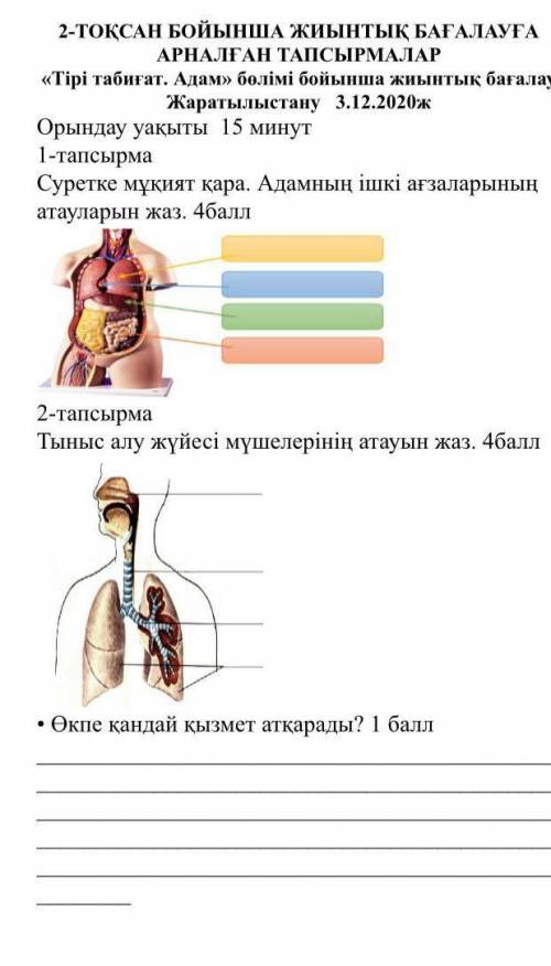 АРНАЛҒАН ТАПСЫРМАЛАР «Тірі табиғат. Адам» бөлімі бойынша жиынтық бағалауЖаратылыстану 3.12.2020жОрын