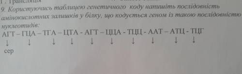 Користуючись таблицею генетичнрго коду напишіть послідовність амінокислотних залишків у білку.