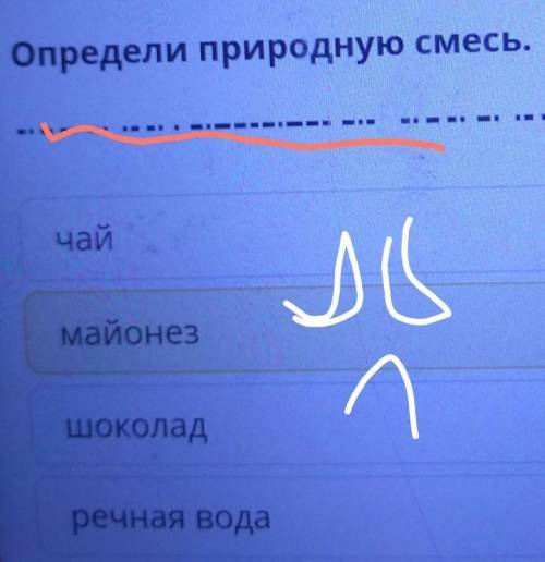 Определи природную смесь.чаймайонезшоколадречная вода​