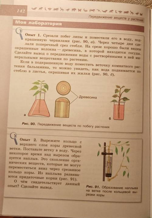 Изучите опыты 1 и 2, сделайте вывод и запишите​