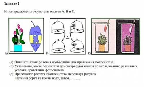 (b) установите какие результаты демонстрируют опыты по исследованию различных условий протекания фот