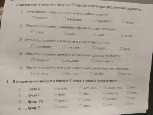 Отметьте слова, которое имеет значение? Шишка, пятачок, карандаш,ручка?