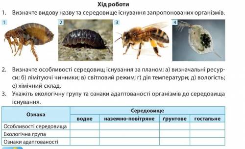 Практична з біології 11 клас. ​