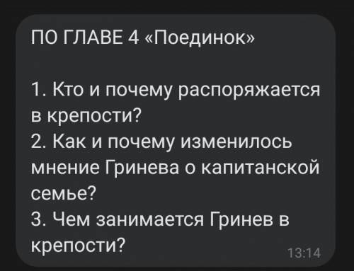 Не писать ерунду, буду блокатьВопросы по Капитанской дочке​