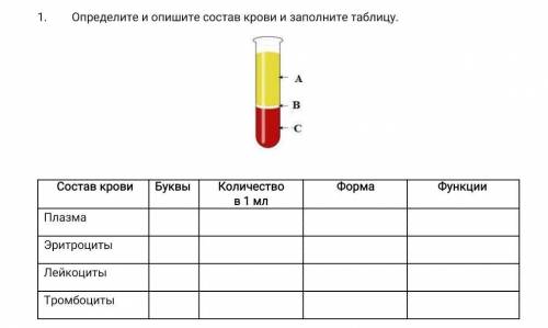 сор дали а тему мы даже ещё не