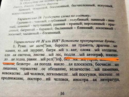 Нили НН? Вставьте пропущенные буквы. 1. Румя.ые шеч(?)ки, берестяная грамота, драгоце…ые камни, ю…ый