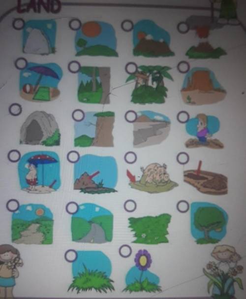 Mutch the words with the pictures 1. VOLCANO 2. GRASS 3. HOLE 4.DESERT 5. SAND 6. MUD 7. CIFF 8. HIL