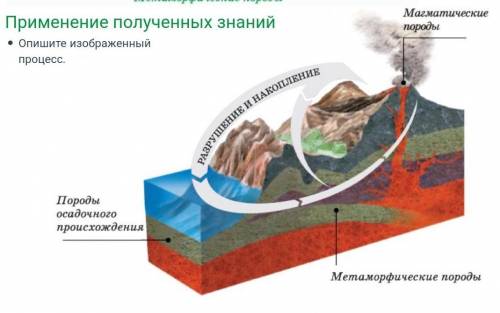 Опишите изображенный процесс.