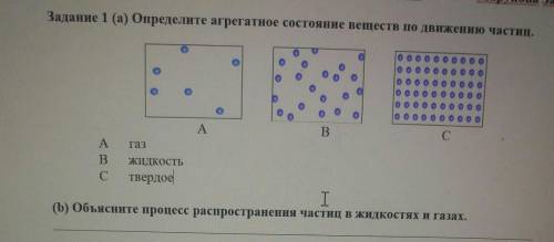 Объясните процесс распространения частиц в жидком и в газах скажите ответ​