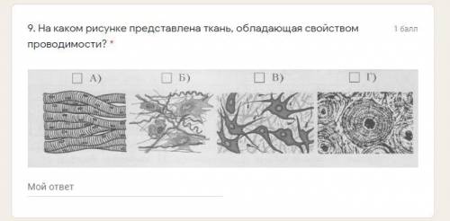 На каком рисунке представлена ткань, обладающая свойством проводимости? *