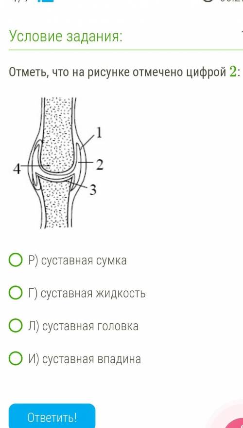 Отметь, что на рисунке отмечено цифрой 2 : сустав0 (1).pngР) суставная сумкаГ) суставная жидкостьЛ)