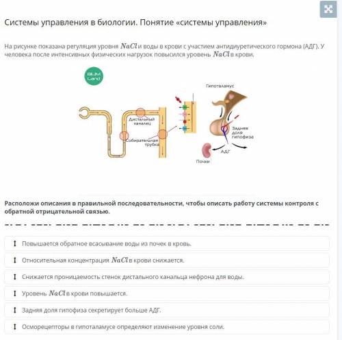 нужно поставить в правильном порядке