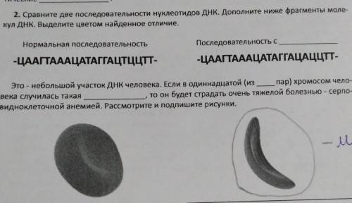 Задание по биологии, 8 класс​