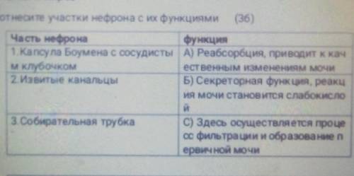 4. Соотнесите участки нефрона с их функциями Часть нефронафункция1. Капсула Боумена с сосудисты Реаб
