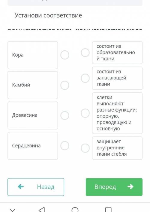 Установить соответствие ​ по биологии 7 класс