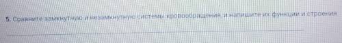 Сравните замкнутую и незамкнутую системы кровообращения, и напишите их функции и строение.​