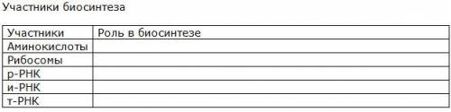 Биосинтез белка в клетке 9 класс...