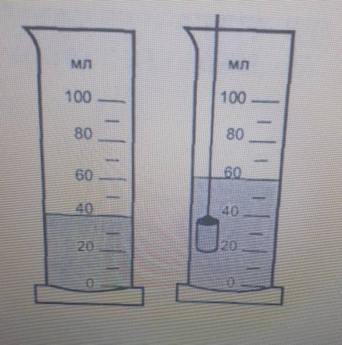 3) На рисунках показана гирька, помещенная в мензурку с водой. Масса гирьки 50 г. 100100T8080БО60402