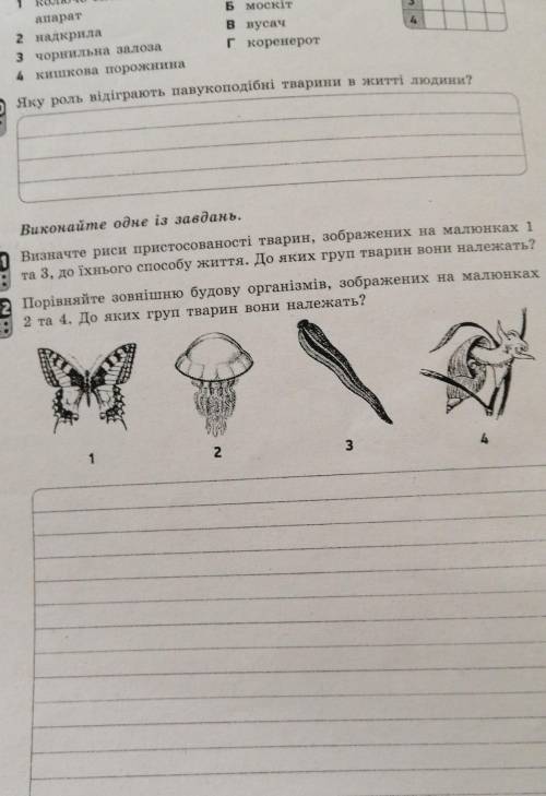 Виконайте одне із завдань. Визначте риси пристосованості тварин, зображених на малюнках 1та 3, до їх