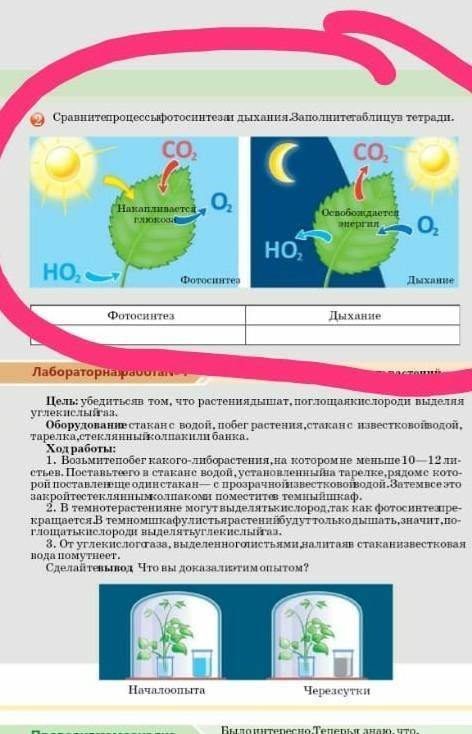Сравните процессы фотосинтеза и дыхания Заполните таблицу в тетради​