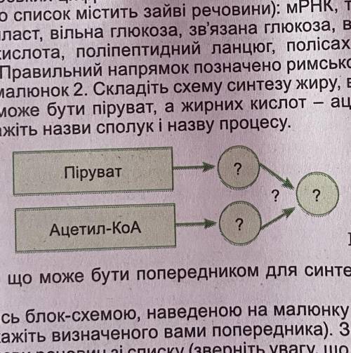 3. Розгляньте малюнок 2. Складіть схему синтезу жиру, враховуючи, що поперед- ником гліцеролу може б