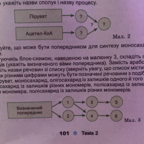 5. Користуючись блок-схемою, наведеною на малюнку 3, складіть схему синтезу полісахаридів (укажіть в