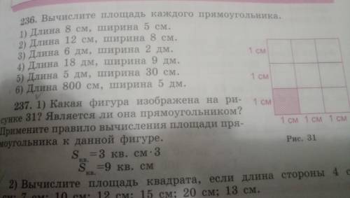 с математикой. Нарисуйте пож в тетради и сколько см и дм пож! Иначе не пойму. Номер 236 вычеслите пл